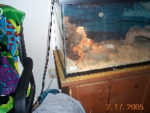 REALLY LOVES HIS CRICKETS