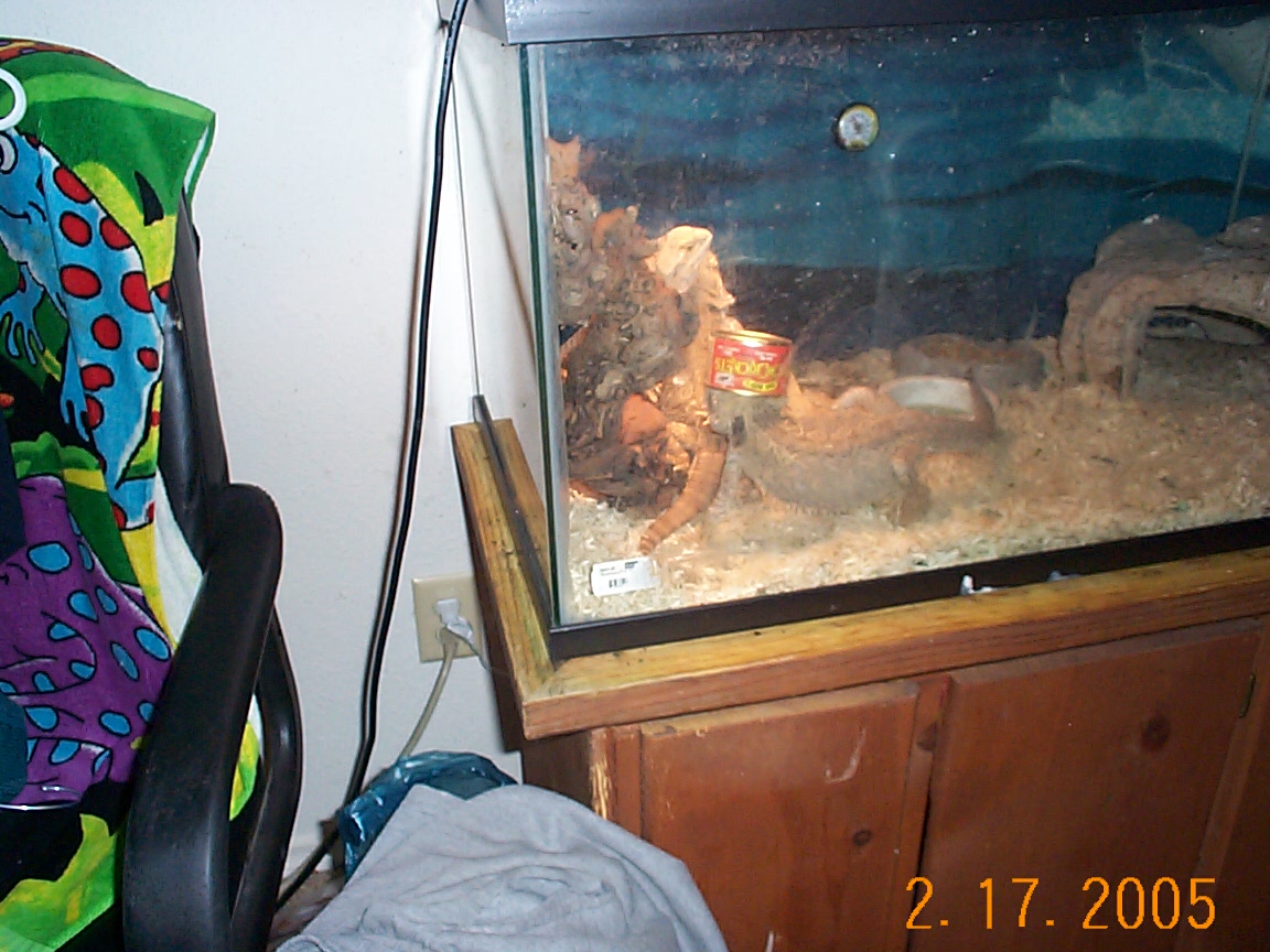 REALLY LOVES HIS CRICKETS