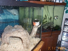 I CAN'T SEE THE FISH TANK