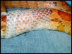 Rio Shedding 2