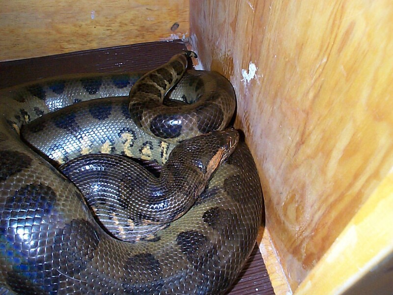 feeding6