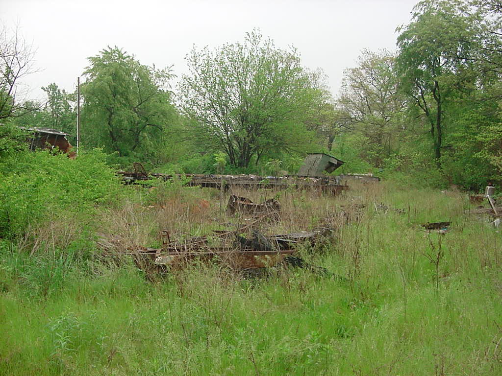 bull snake habitat