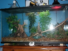 Monty's Home