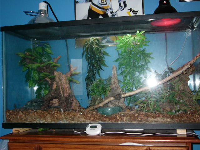 Monty's Home