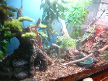 Monty's Home