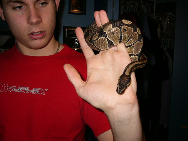 Monty and ME
