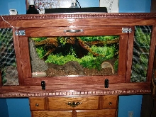 Monty's New Home