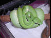 Male #13