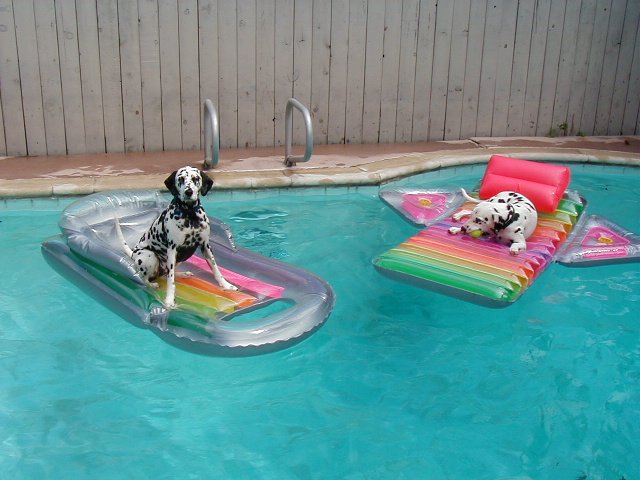 Samantha and Danica, keepin' cool.