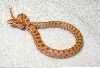 baby pic