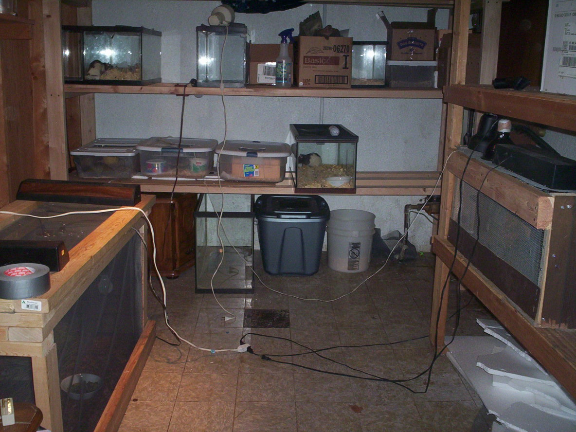 My herp room....