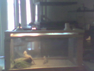 a little sumthin I built for only $50.00 u like?