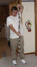 full body huge anery