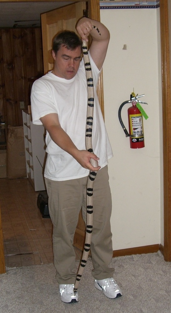 full body huge anery