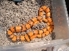 '03 male hypo from Randy W.