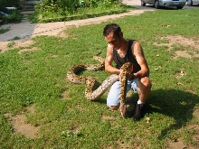 Retic outside 2