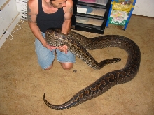 Rock python 7/22/05 pic 2