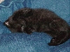 Shes so sweet when she's sleeping...