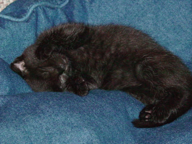 Shes so sweet when she's sleeping...