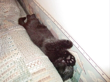 Crack Nap