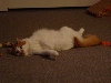 I'm so pretty!