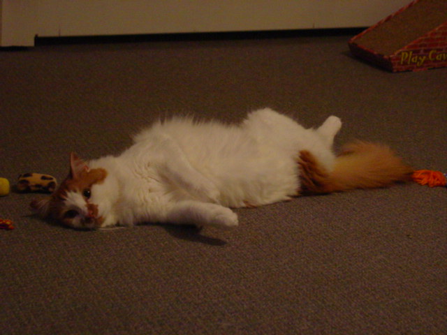 I'm so pretty!