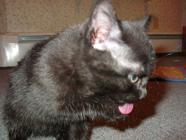 Cleaning after a bath
