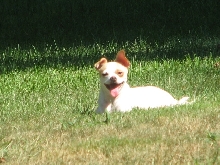 Smiling Andre
