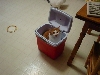 Furry Lunch