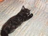 Kola's First Picture!
