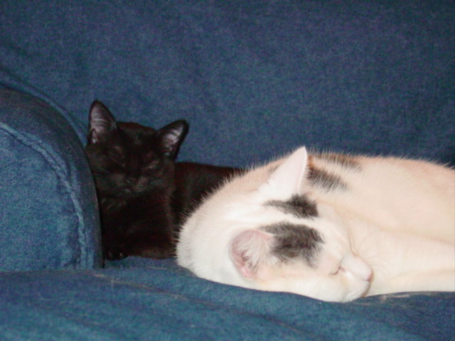 Precious babies!