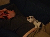 Kuma Loves His Daddy