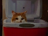 The Best Hidey Hole