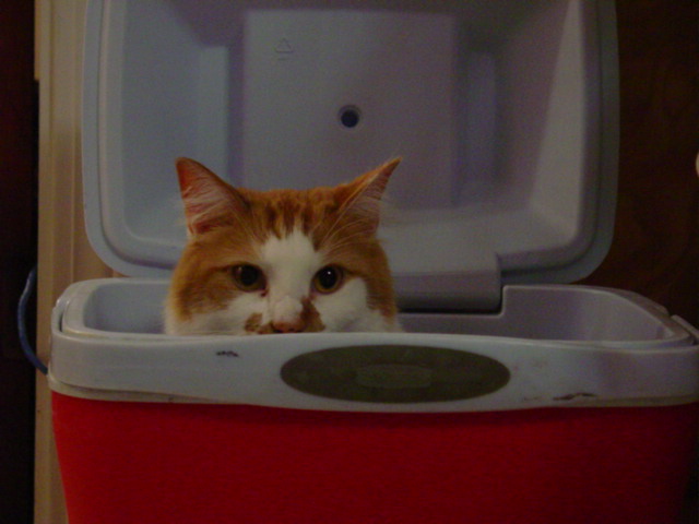 The Best Hidey Hole