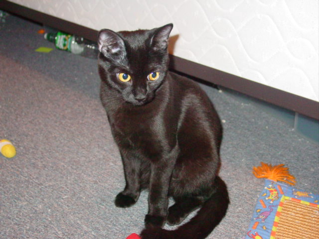 Look how I've grown!