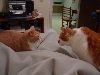 Can you feel the tension?