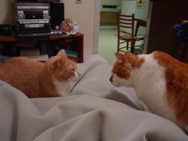 Can you feel the tension?