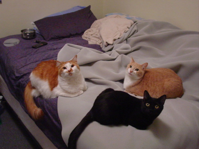 Semi-Group Shot