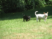 My Boys, Andre and Jack B