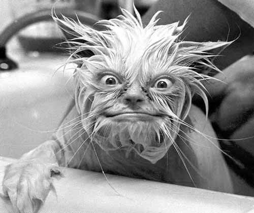 WARNING: This picture is somewhat creepy/frightening!