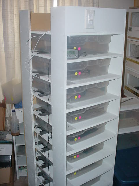 New rack