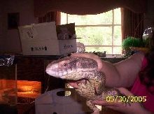 Helga being held