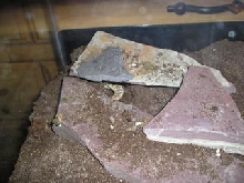 Burrow #1