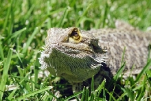 Don't Mess With Me !