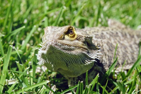 Don't Mess With Me !