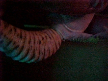 male or female