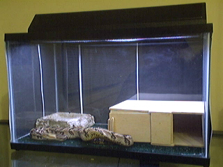 Spikes cage