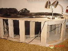 Edna & Eva's pond 3