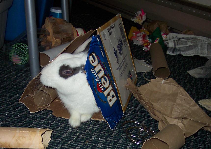 Twitch in a Tunnel