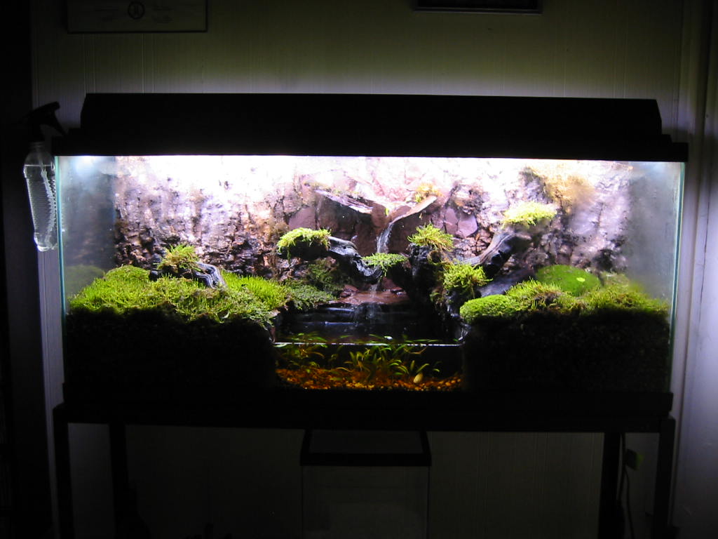 terrarium